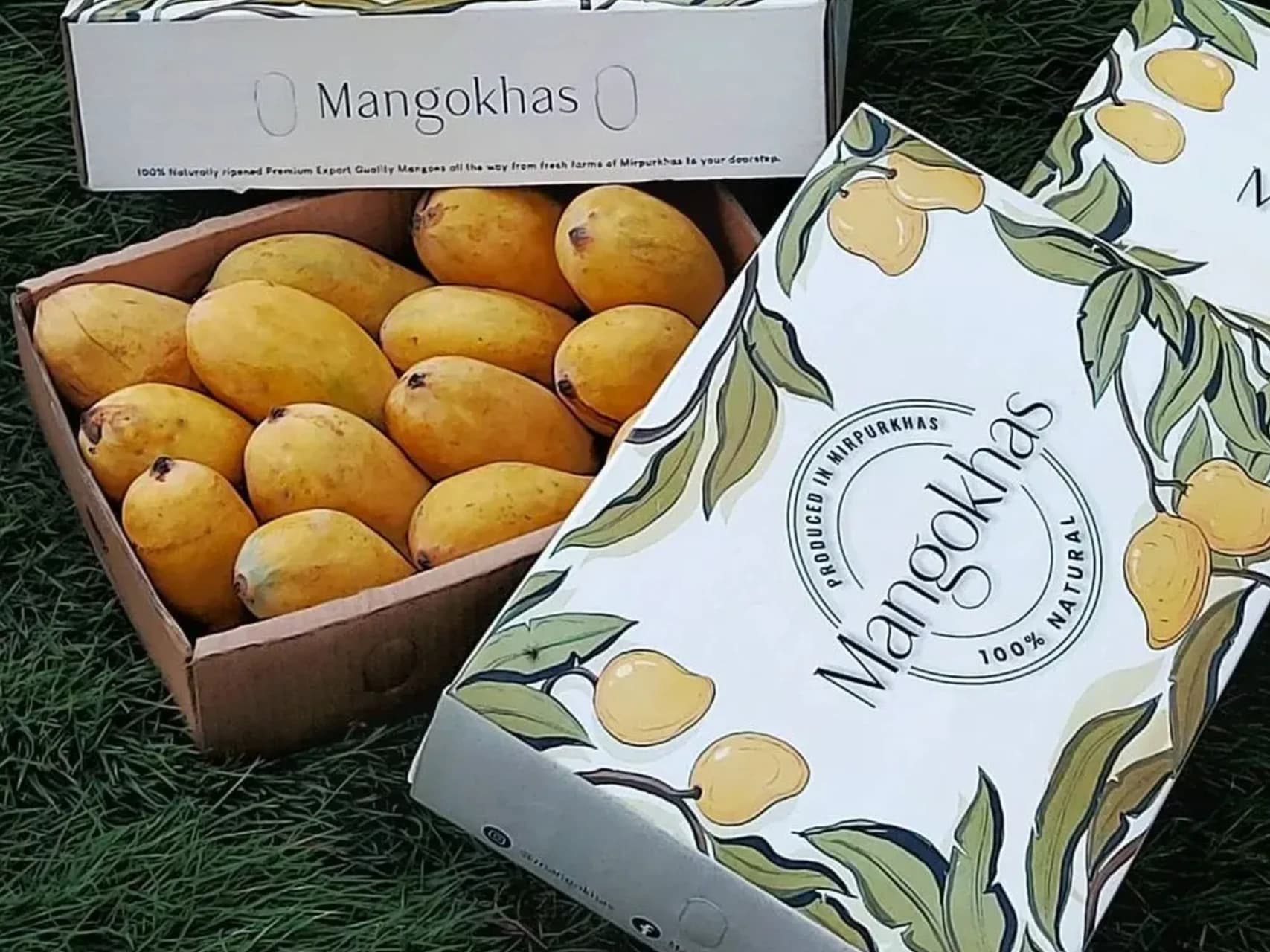 Growth timeline of MangoKhas branding and packaging
