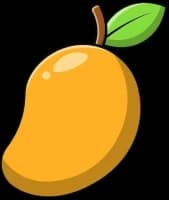 Mango slice