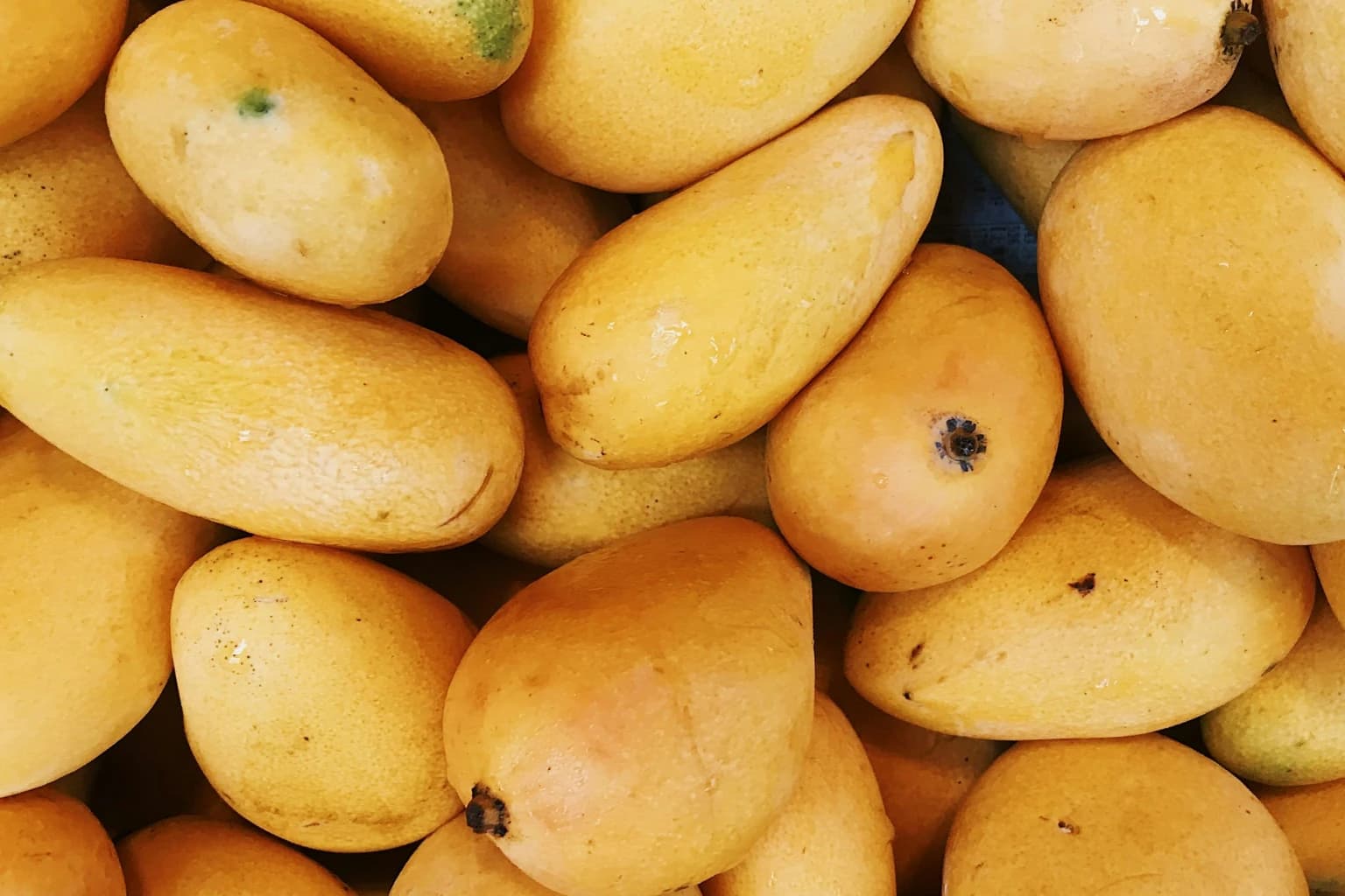 Fresh Pakistani Sindhri mangoes in a basket – Mangokhas