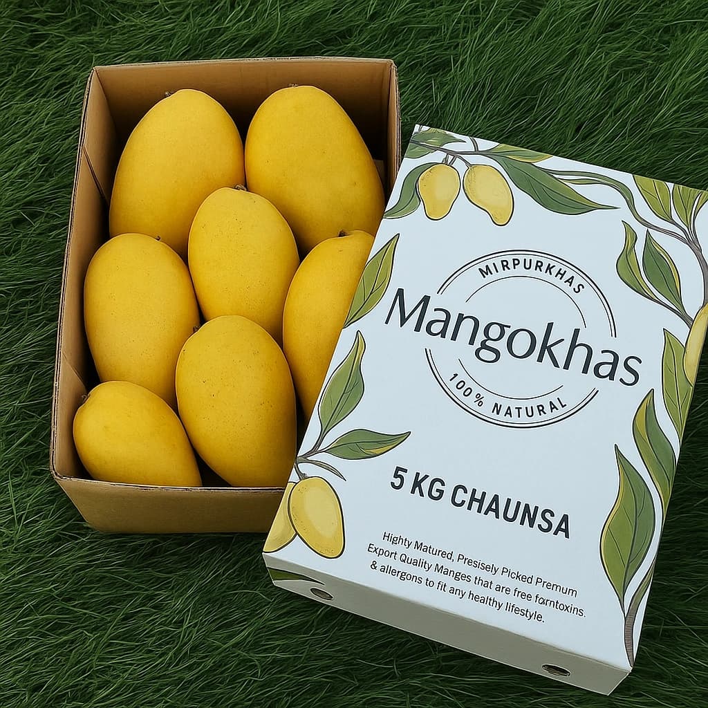 Premium Chaunsa Mango Box — photo 2