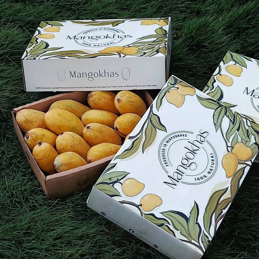 Premium Sindhri Mango Box — photo 1