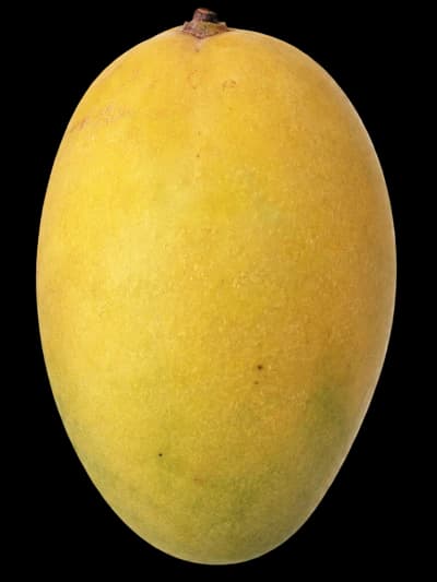Small golden Anwar Ratol mangoes with intense aroma
