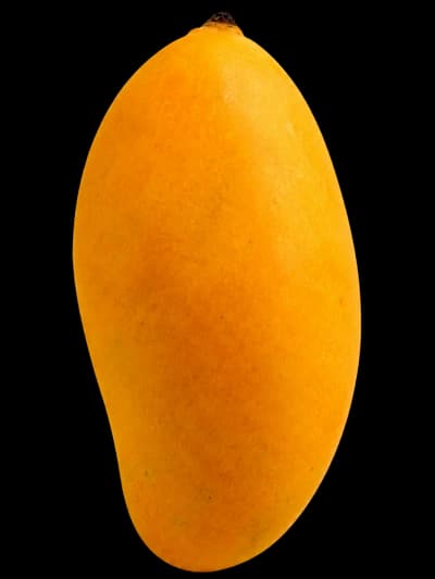 Ripe Chaunsa mangoes with honey-sweet juicy pulp